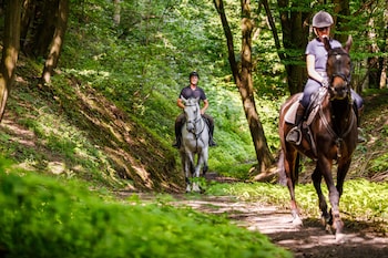 hotel szary residence