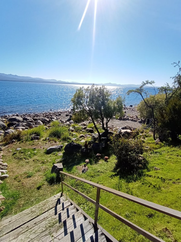 las gaviotas