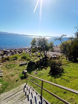 las gaviotas