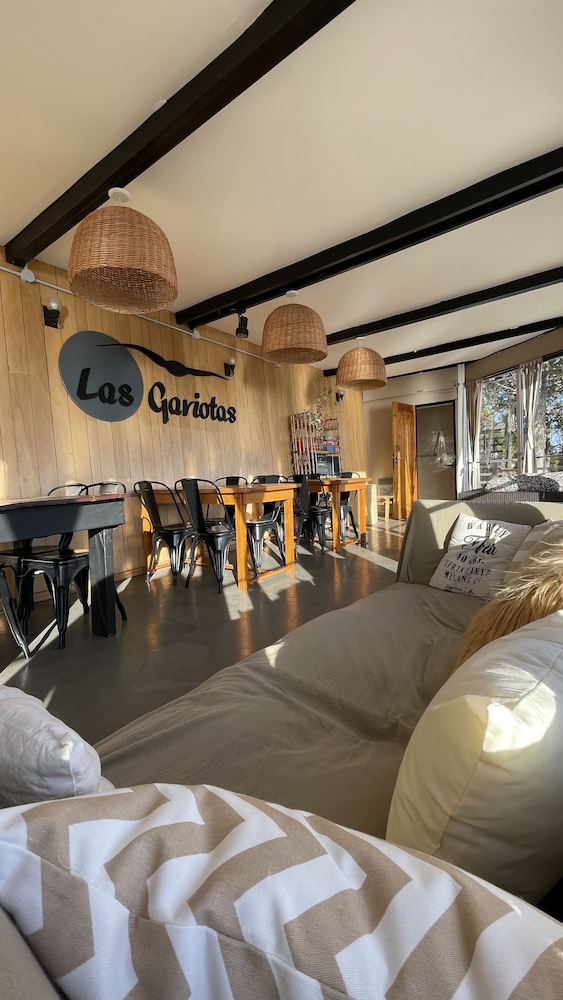 las gaviotas