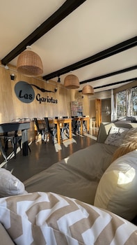las gaviotas