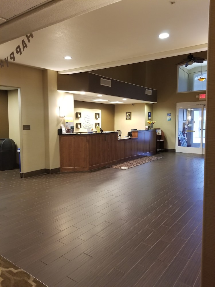 comfort inn and suites galt lodi north