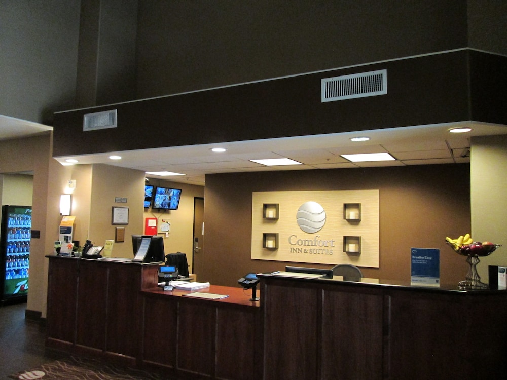 comfort inn and suites galt lodi north