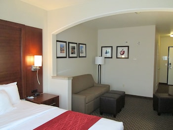 comfort inn and suites galt lodi north