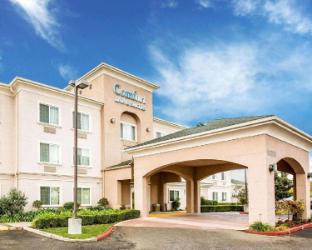 comfort inn and suites galt lodi north