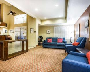 comfort inn and suites galt lodi north