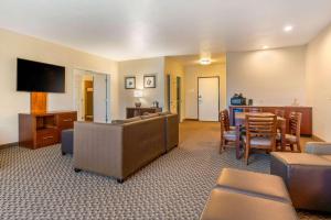 comfort inn and suites galt lodi north
