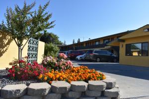apex inn