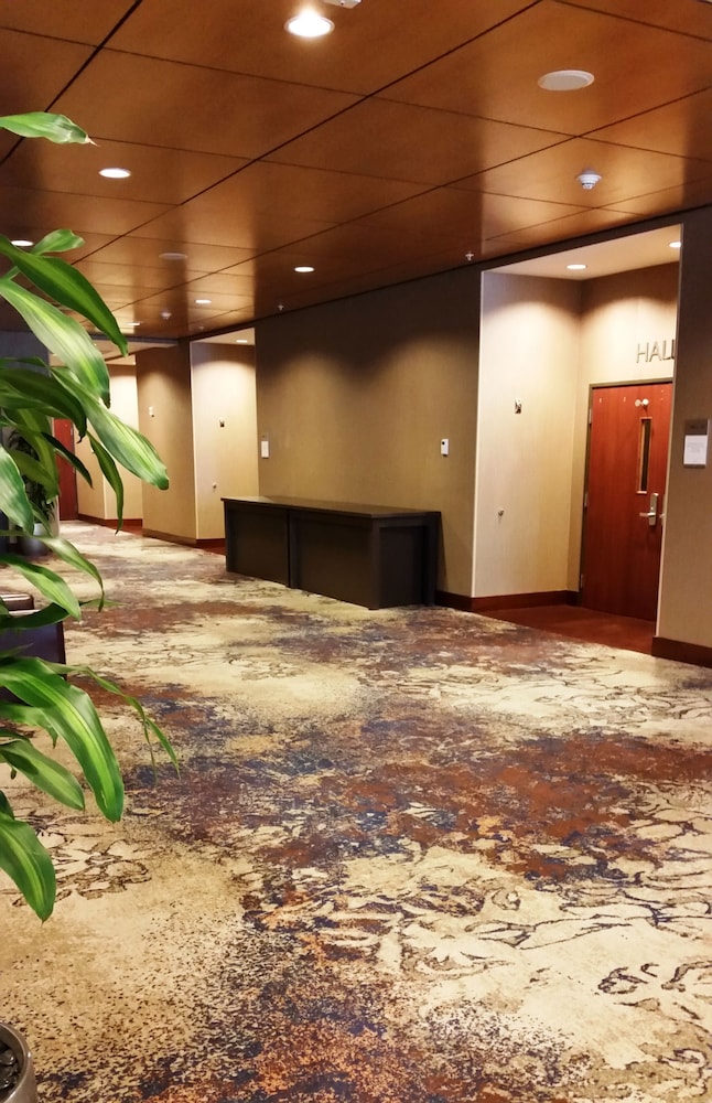 courtyard by marriott seattle bellevue downtown