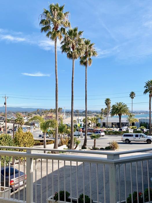 santa cruz