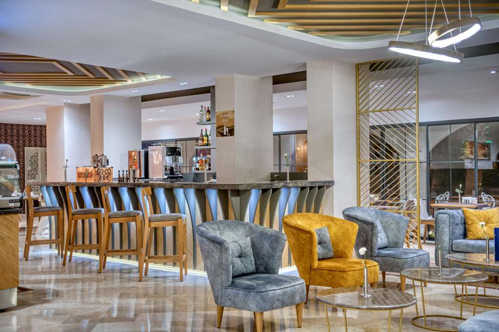 sealife lounge hotel adult only