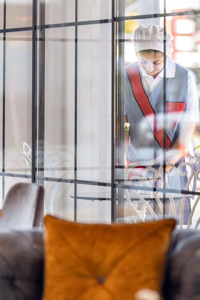 sealife lounge hotel adult only