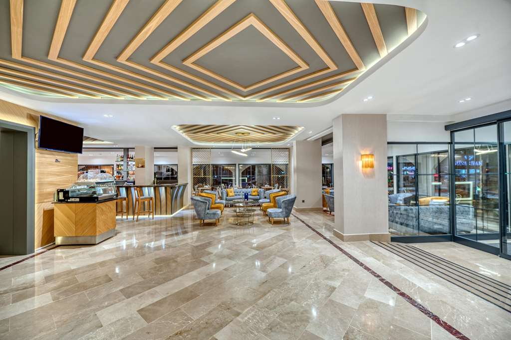 sealife lounge hotel adult only