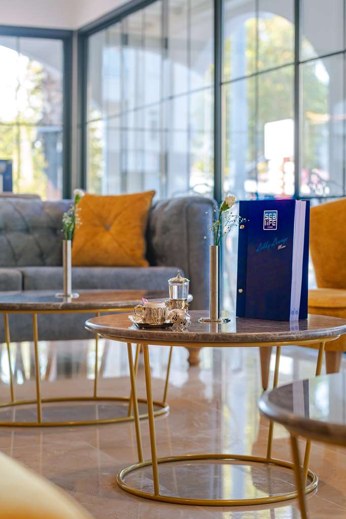 sealife lounge hotel adult only