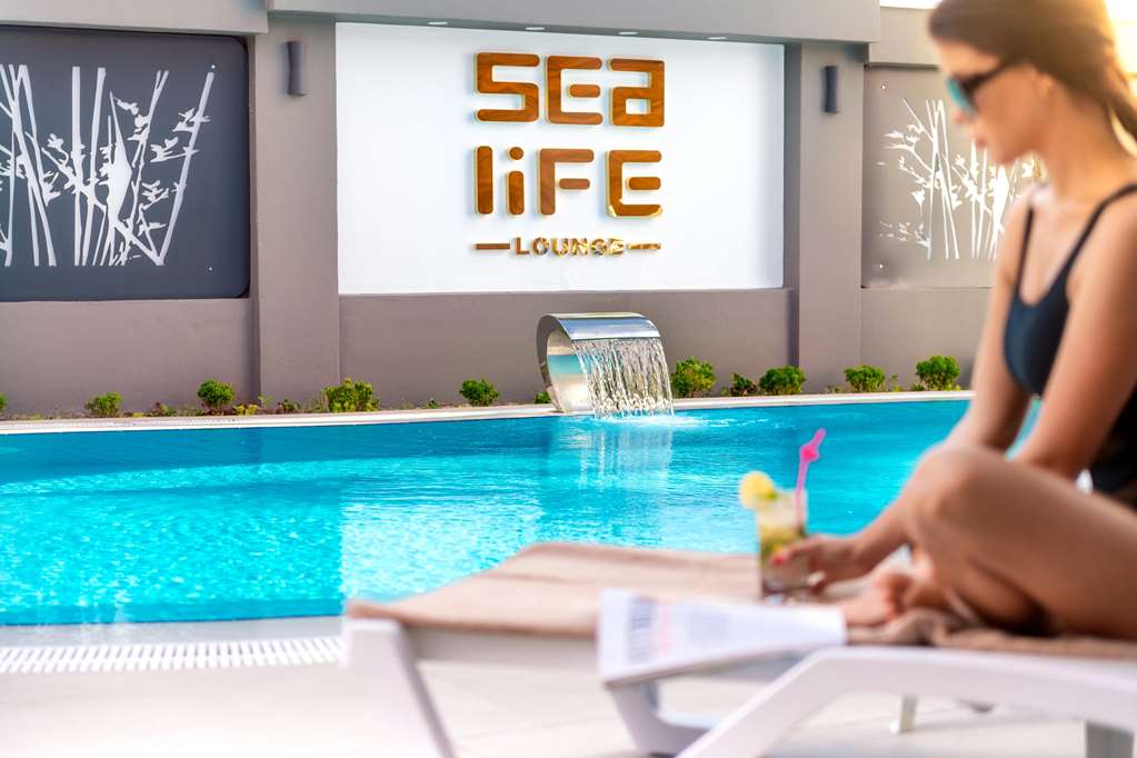 sealife lounge hotel adult only
