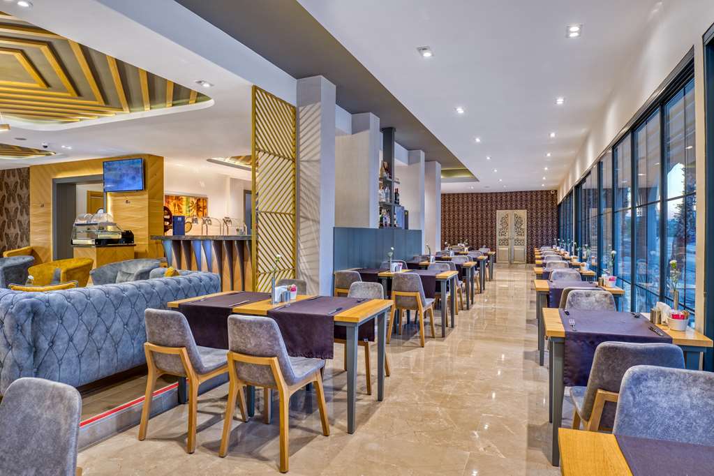 sealife lounge hotel adult only