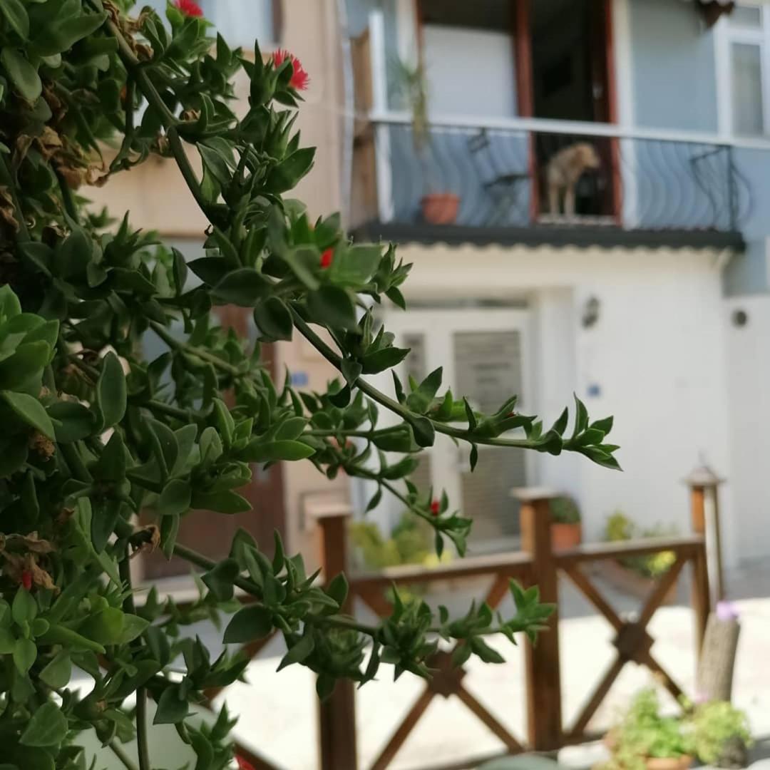 mudanya