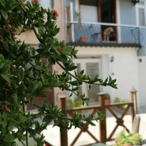 mudanya