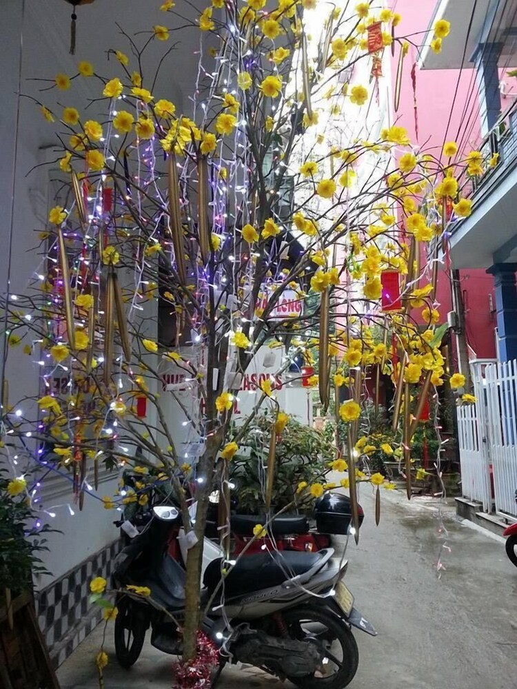 hue four seasons hotel