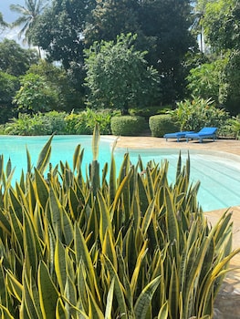 Mangrove Lodge,Changuu Island>>Bububu,3 star
