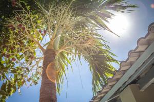 mui ne hills villa hotel