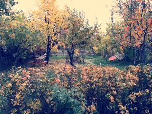 miro mara boutique hotel and lounge bar