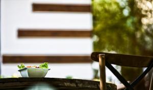 miro mara boutique hotel and lounge bar