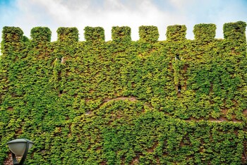 hotel castillo de pilas bonas