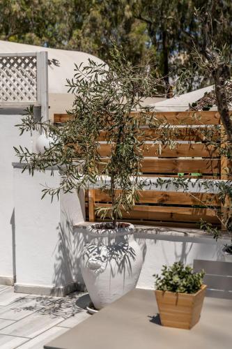 hotel eucalyptus