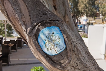 hotel eucalyptus