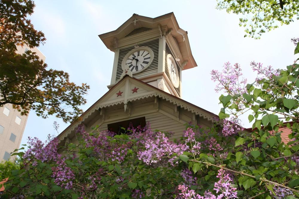 hotel mystays sapporo nakajima park annex