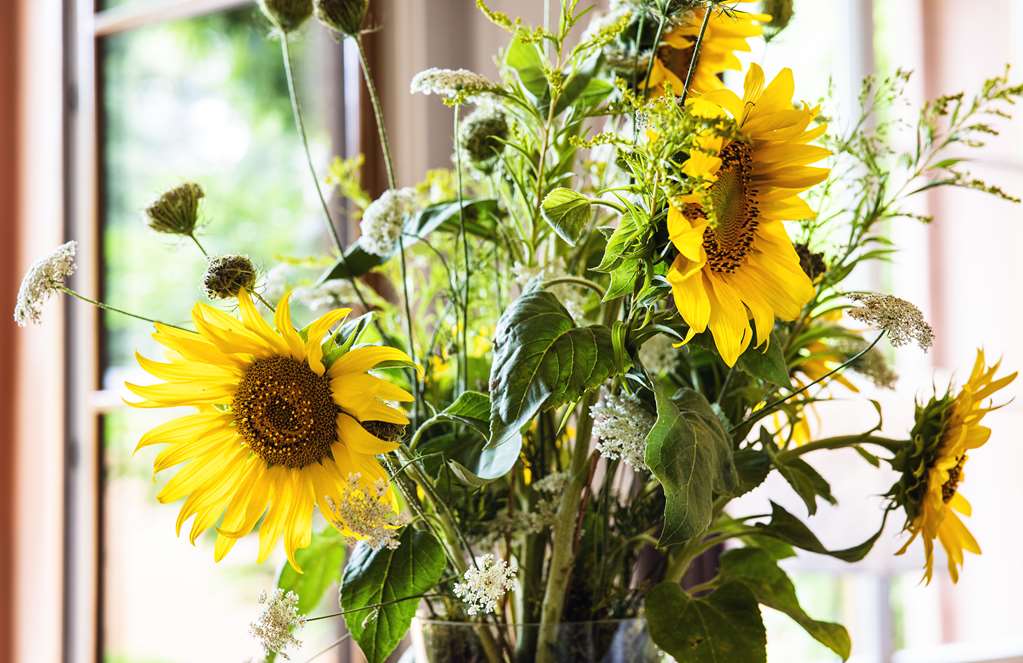 top hotel odelya basel