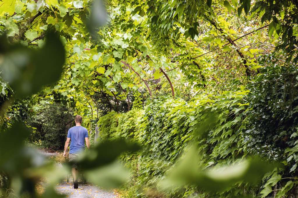 top hotel odelya basel