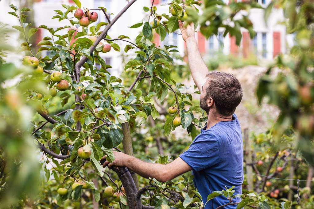top hotel odelya basel