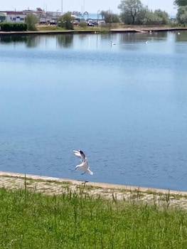 Tomis Hotel Neptun,Mangalia>>Constanta,3 star