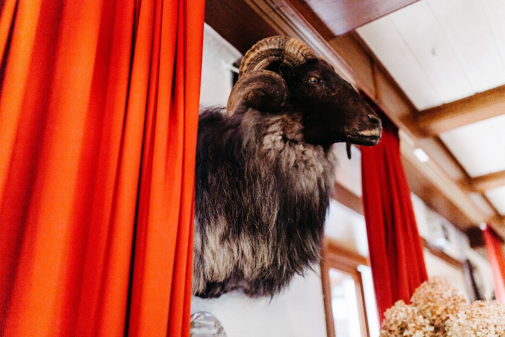 akzent hotel zur grunen eiche