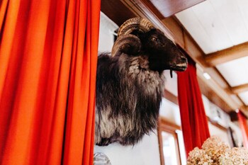 akzent hotel zur grunen eiche