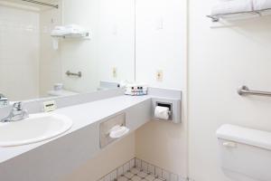 rodd brudenell river