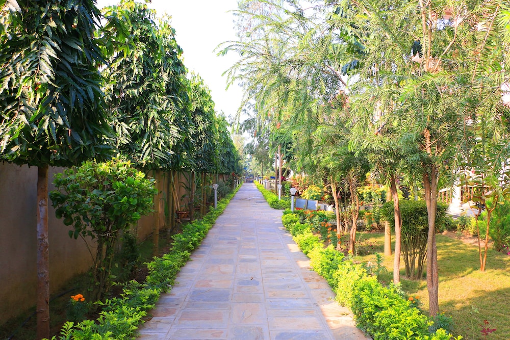 sauraha