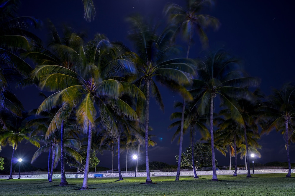 hilton vacation club crescent on south beach miami