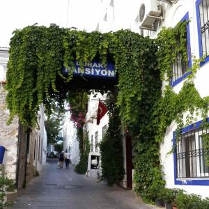 bodrum