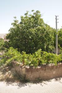 nevsehir