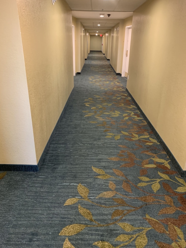 candlewood suites grand prairie arlington by ihg