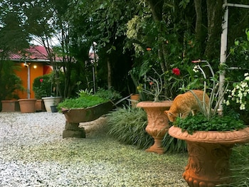 palmwood lodge