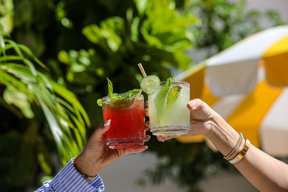 clinton hotel south beach