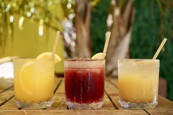 clinton hotel south beach