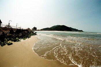 Miotto Executive Hotel,Navegantes>>Itajai,3 star