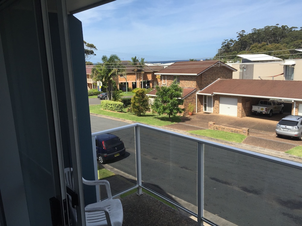 mollymook