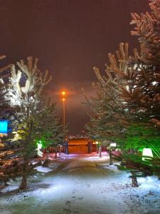 Snow Life Hotel Sarikamis ,Turkey>>Sarikamis,3 star
