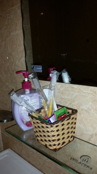 sapa lake view hotel